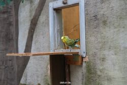 zoo-bochum-zoo-2015-03-28-393