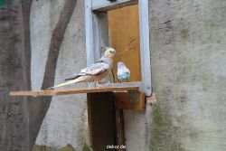 zoo-bochum-zoo-2015-03-28-397