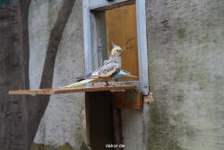 zoo-bochum-zoo-2015-03-28-399
