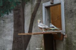 zoo-bochum-zoo-2015-03-28-400
