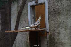 zoo-bochum-zoo-2015-03-28-401