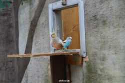 zoo-bochum-zoo-2015-03-28-402