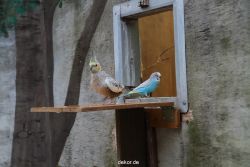 zoo-bochum-zoo-2015-03-28-404