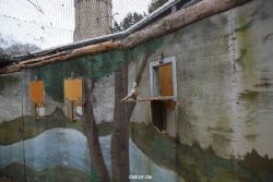 zoo-bochum-zoo-2015-03-28-407