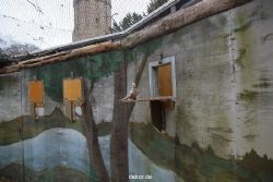 zoo-bochum-zoo-2015-03-28-408