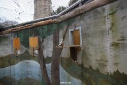 zoo-bochum-zoo-2015-03-28-409
