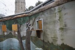 zoo-bochum-zoo-2015-03-28-410