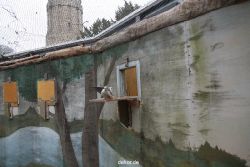 zoo-bochum-zoo-2015-03-28-411