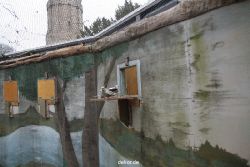 zoo-bochum-zoo-2015-03-28-412