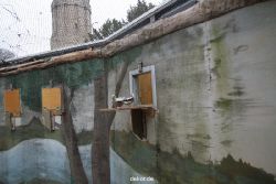 zoo-bochum-zoo-2015-03-28-413