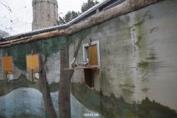 zoo-bochum-zoo-2015-03-28-415