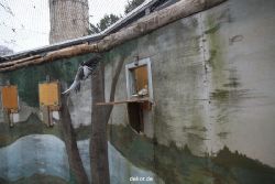 zoo-bochum-zoo-2015-03-28-417