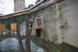 zoo-bochum-zoo-2015-03-28-418