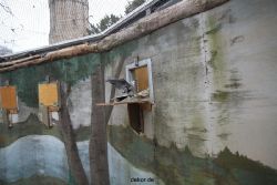 zoo-bochum-zoo-2015-03-28-419