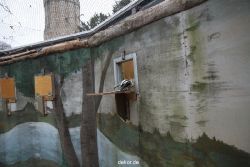 zoo-bochum-zoo-2015-03-28-420