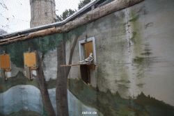 zoo-bochum-zoo-2015-03-28-422