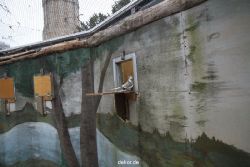 zoo-bochum-zoo-2015-03-28-423