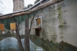 zoo-bochum-zoo-2015-03-28-424