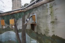 zoo-bochum-zoo-2015-03-28-426