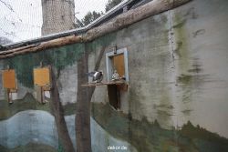 zoo-bochum-zoo-2015-03-28-427