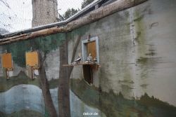 zoo-bochum-zoo-2015-03-28-429