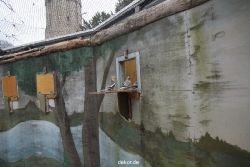 zoo-bochum-zoo-2015-03-28-430