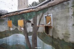 zoo-bochum-zoo-2015-03-28-431