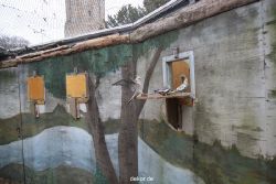 zoo-bochum-zoo-2015-03-28-432