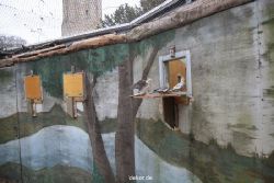 zoo-bochum-zoo-2015-03-28-433