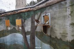 zoo-bochum-zoo-2015-03-28-434