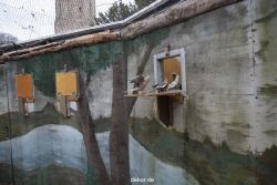 zoo-bochum-zoo-2015-03-28-435