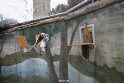 zoo-bochum-zoo-2015-03-28-436