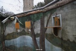 zoo-bochum-zoo-2015-03-28-437