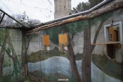 zoo-bochum-zoo-2015-03-28-439