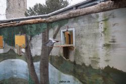 zoo-bochum-zoo-2015-03-28-440
