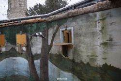 zoo-bochum-zoo-2015-03-28-441