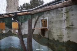 zoo-bochum-zoo-2015-03-28-442
