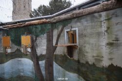 zoo-bochum-zoo-2015-03-28-443