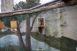 zoo-bochum-zoo-2015-03-28-444