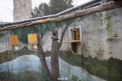 zoo-bochum-zoo-2015-03-28-445