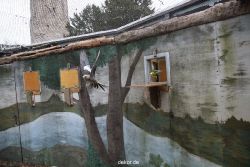 zoo-bochum-zoo-2015-03-28-446