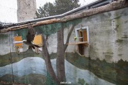 zoo-bochum-zoo-2015-03-28-447