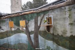 zoo-bochum-zoo-2015-03-28-448