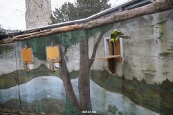 zoo-bochum-zoo-2015-03-28-449