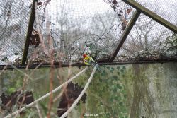 zoo-bochum-zoo-2015-03-28-450