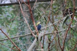 zoo-bochum-zoo-2015-03-28-453