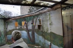zoo-bochum-zoo-2015-03-28-454