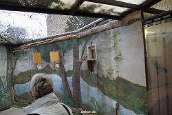 zoo-bochum-zoo-2015-03-28-457