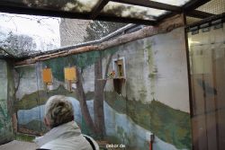 zoo-bochum-zoo-2015-03-28-458