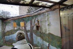 zoo-bochum-zoo-2015-03-28-459